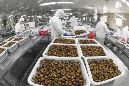 農(nóng)産品加工(gōng)