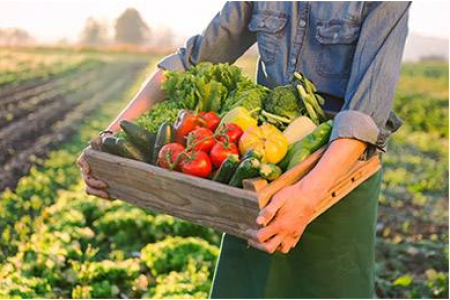 一(yī)站(zhàn)式農(nóng)副産品配送解決方案