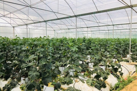 基地(dì)現(xiàn)場(chǎng)照(zhào)片