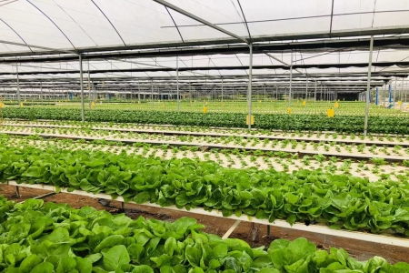 基地(dì)現(xiàn)場(chǎng)照(zhào)片1